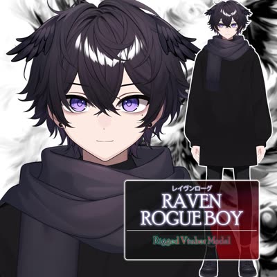 Raven Rogue Boy, Rigged Male ,…