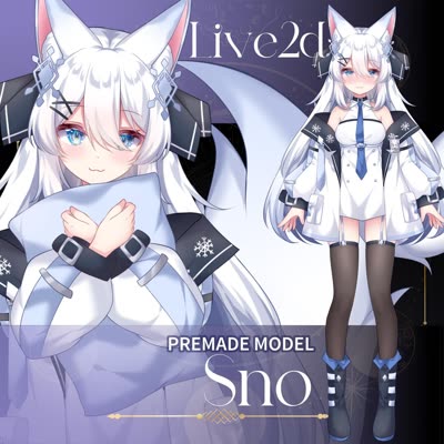 Sno 4 exp